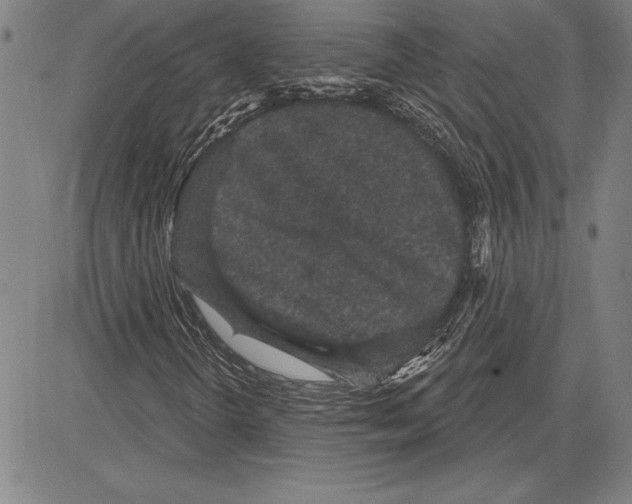 X0000081621298200702121629