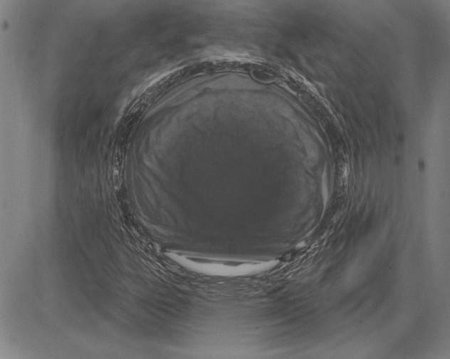 X0000081621303200702121629