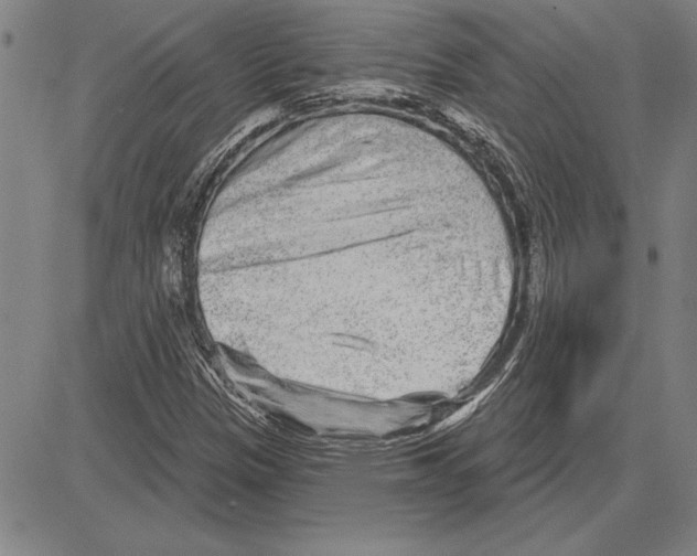 X0000081621305200702121629