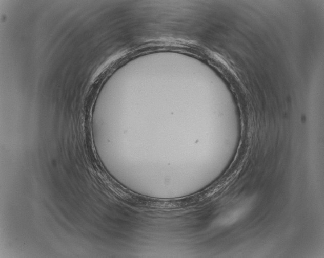 X0000081621307200702121630