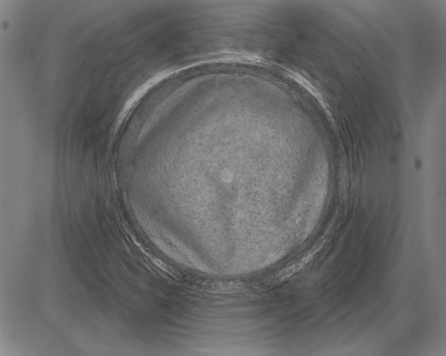 X0000081621310200702121630