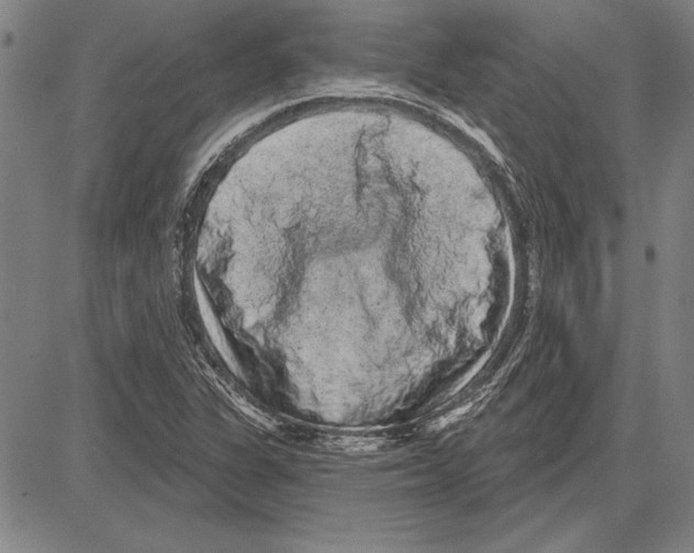 X0000081621311200702121630