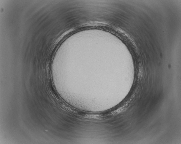 X0000081621313200702121630