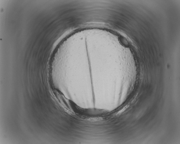 X0000081621325200702121630