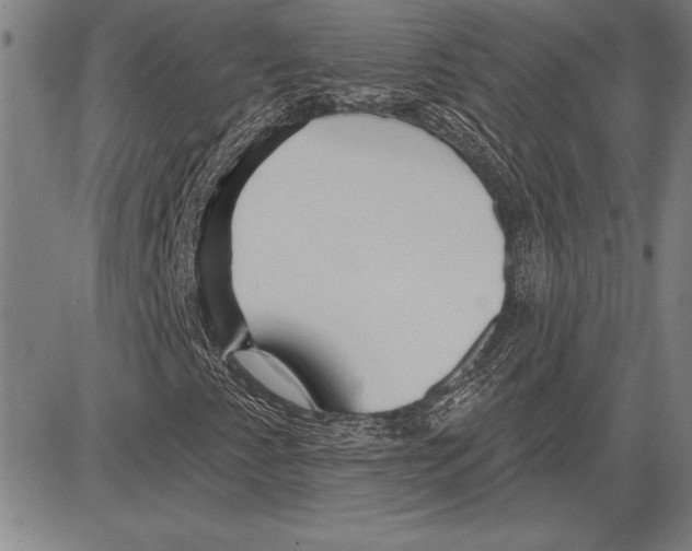 X0000081621345200702121629