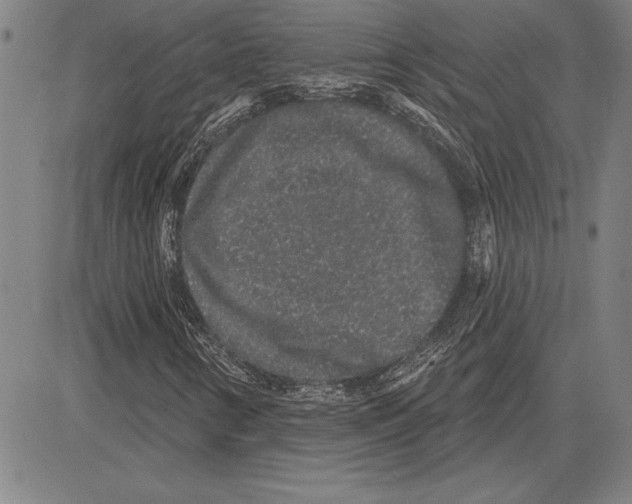 X0000081621346200702121629