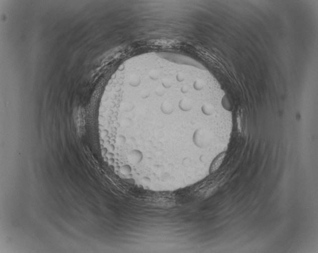 X0000081621347200702121629