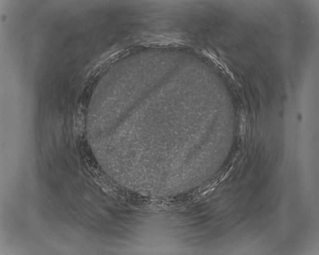 X0000081621350200702121629