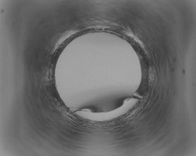 X0000081621352200702121629