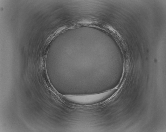 X0000081621353200702121629