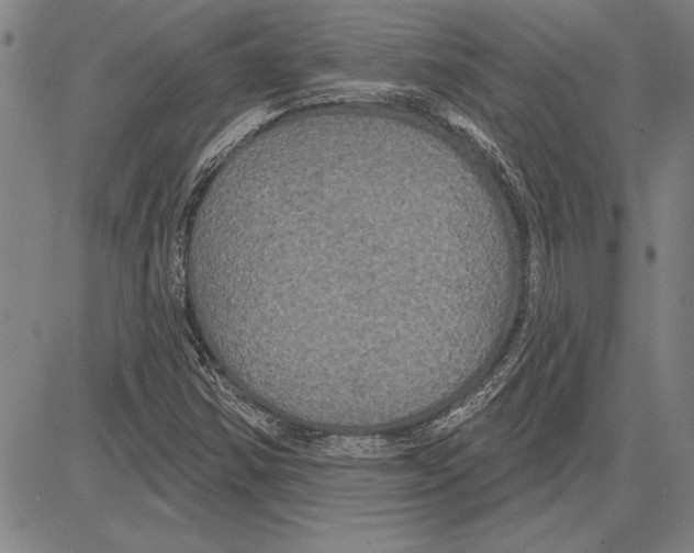 X0000081621354200702121629
