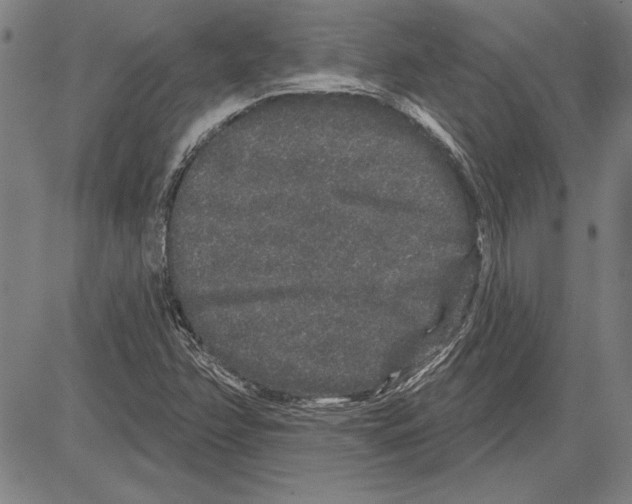 X0000081621358200702121629
