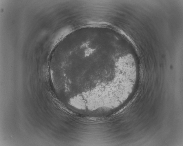 X0000081621362200702121629