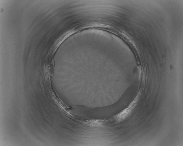 X0000081621369200702121629