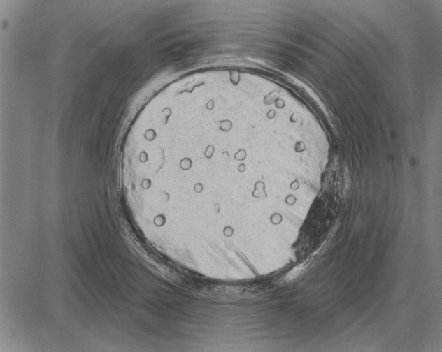 X0000081621371200702121629