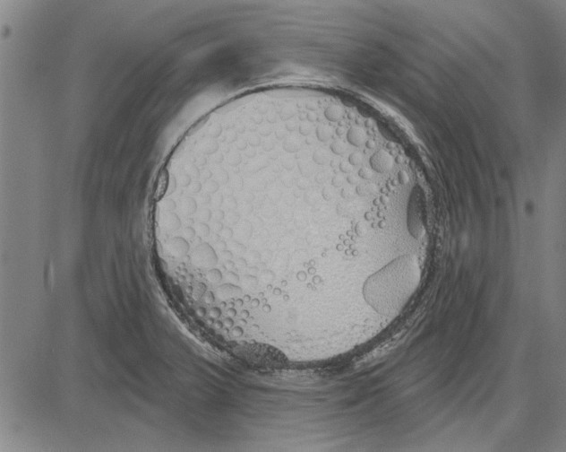 X0000081621375200702121629