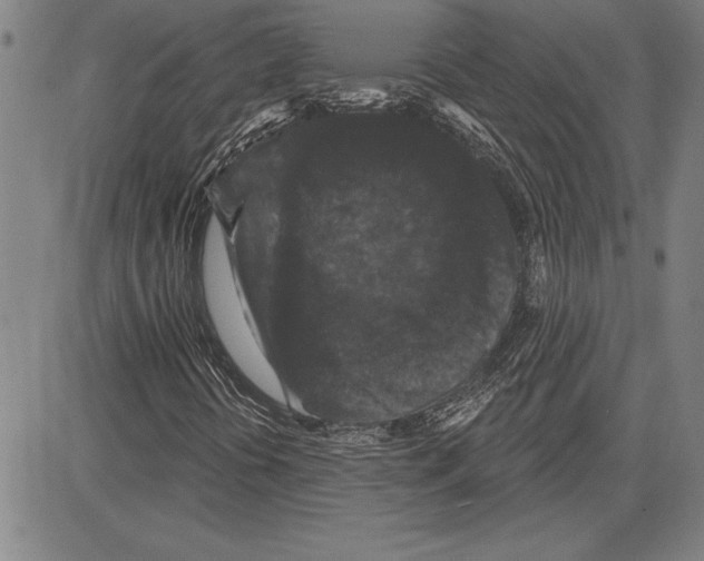 X0000081621394200702121628