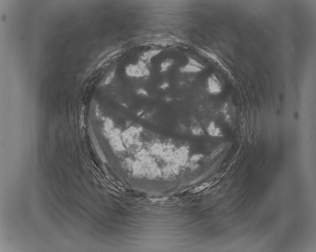 X0000081621399200702121628
