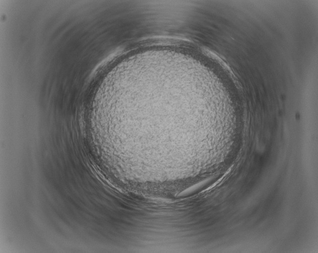 X0000081621403200702121628
