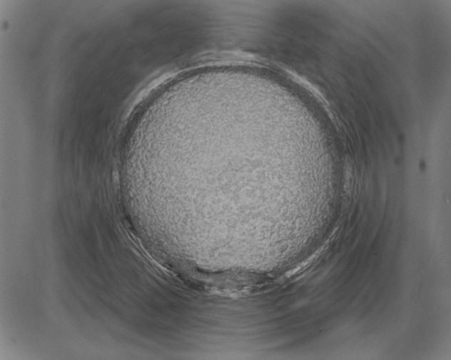 X0000081621407200702121628