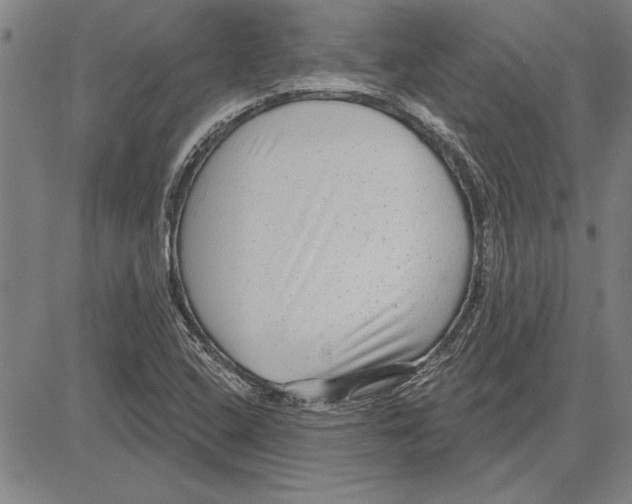 X0000081621408200702121628
