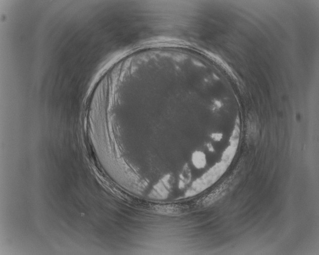 X0000081621413200702121628