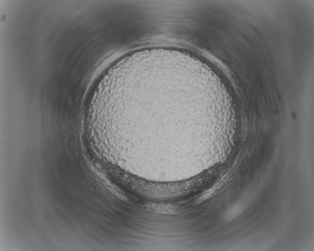 X0000081621415200702121628