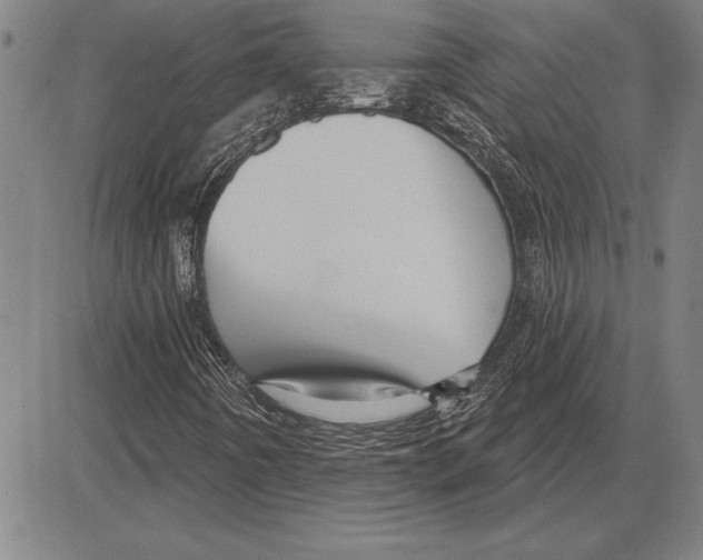 X0000081621442200702121628