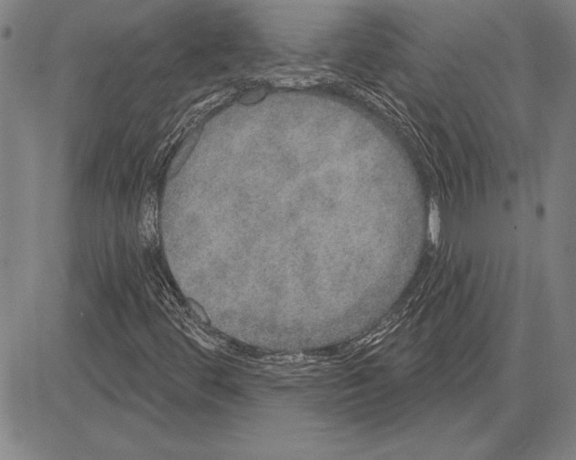 X0000081621444200702121628