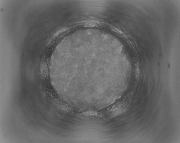 X0000081621446200702121628