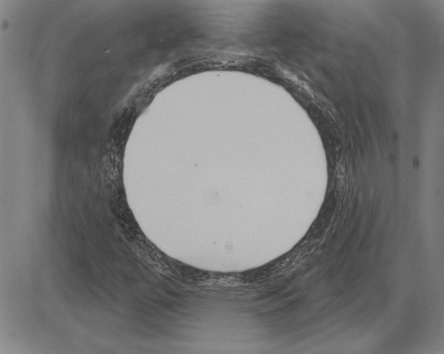 X0000081621447200702121628