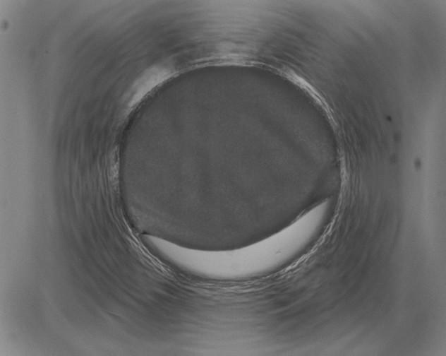 X0000081621450200702121628