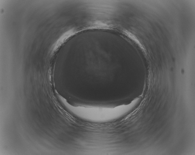 X0000081621455200702121628