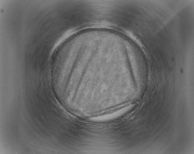 X0000081621456200702121628