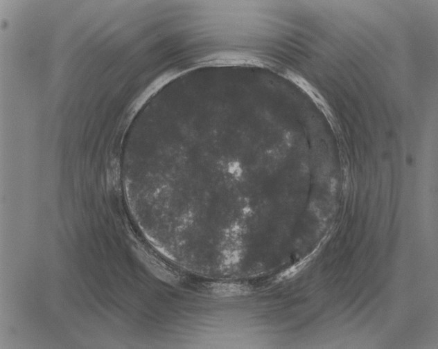 X0000081621465200702121627