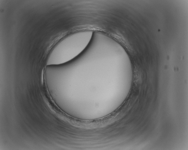 X0000081630014200701151131