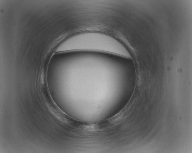 X0000081630068200701151130