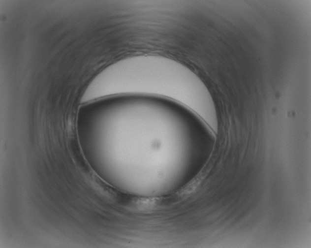 X0000081630084200701151131