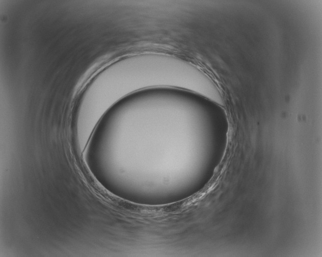 X0000081630101200701151130