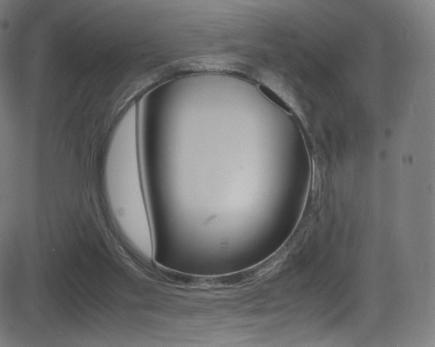 X0000081630109200701151130
