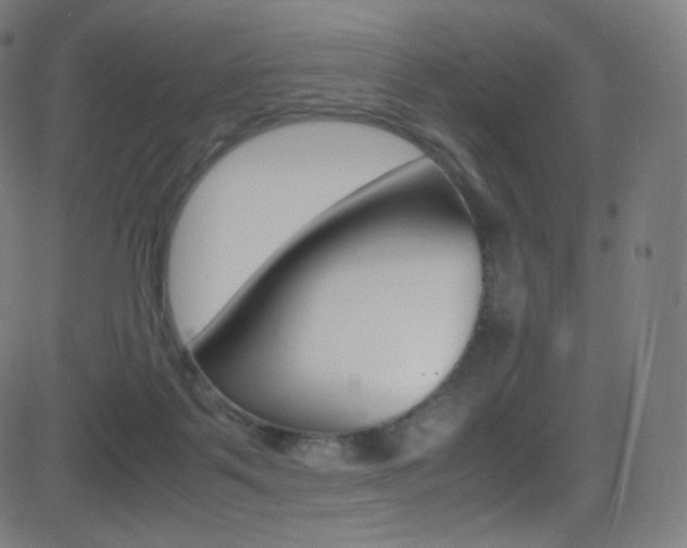 X0000081630123200701151130