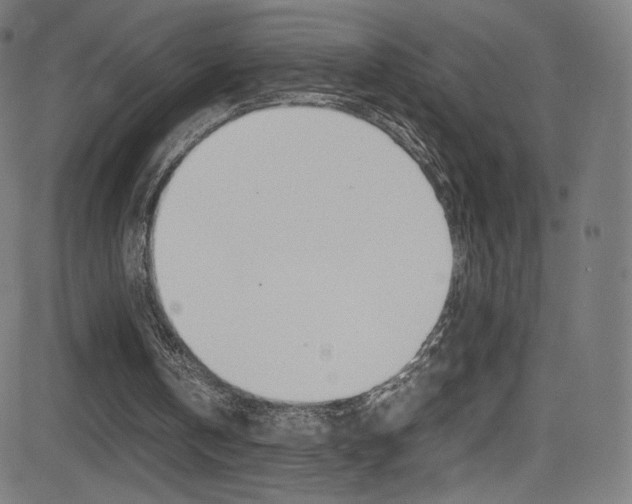 X0000081630146200701151128