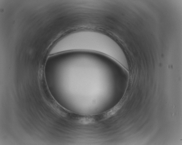X0000081630168200701151129