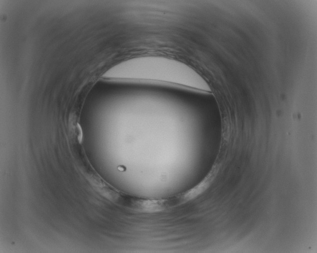X0000081630184200701151129