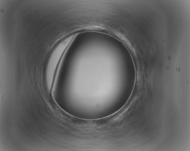 X0000081630201200701151128