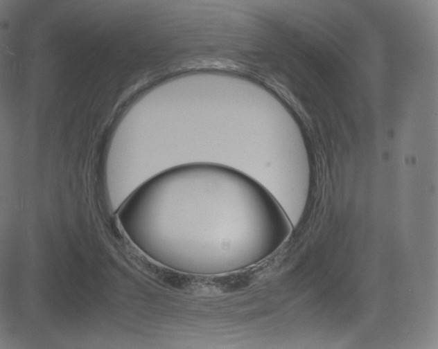 X0000081630207200701151128