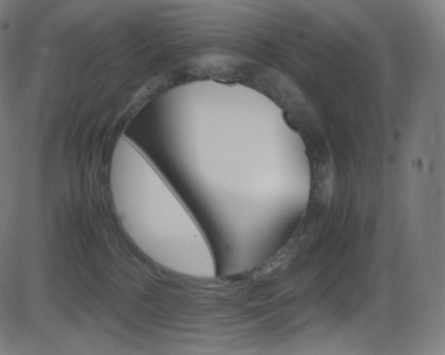 X0000081630232200701151128