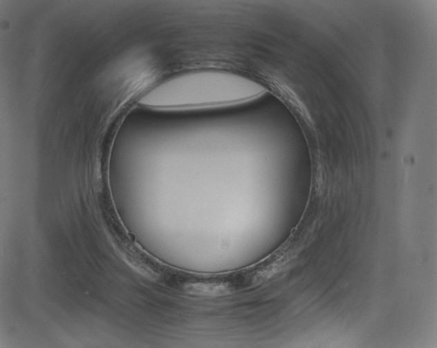 X0000081630251200701151127