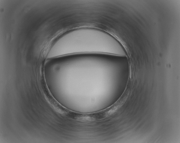 X0000081630253200701151127