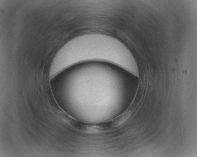 X0000081630268200701151127